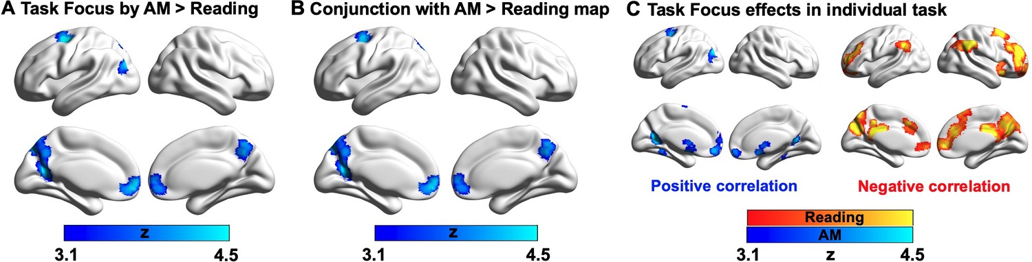 Perceptual coupling and decoupling of the default mode network 