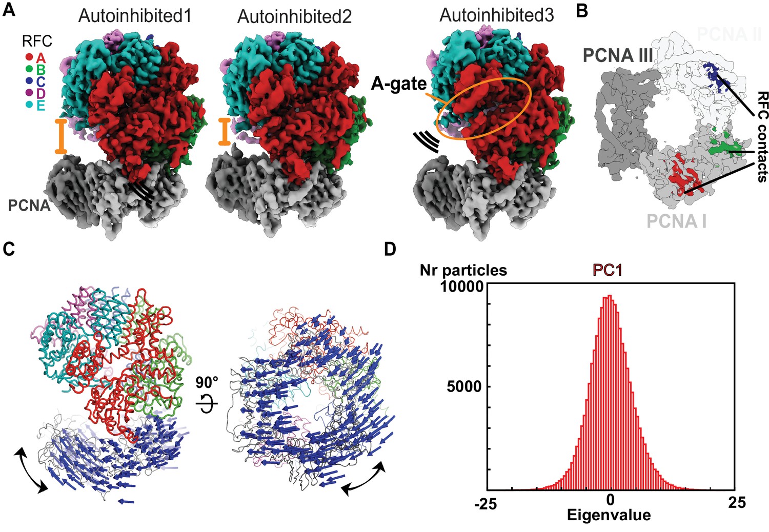 Cryo EM Structures Reveal High Resolution Mechanism Of A DNA Polymerase