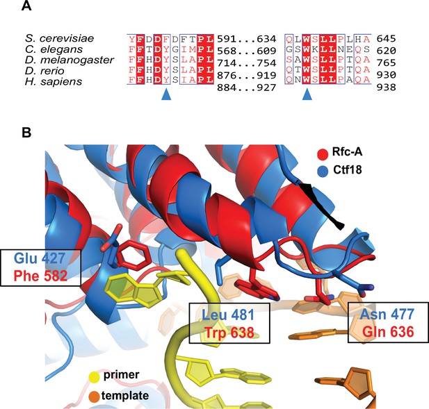 Figures And Data In Cryo-EM Structures Reveal High-resolution Mechanism ...