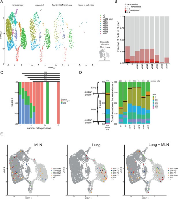 Th2 single-cell heterogeneity and clonal distribution at distant sites ...