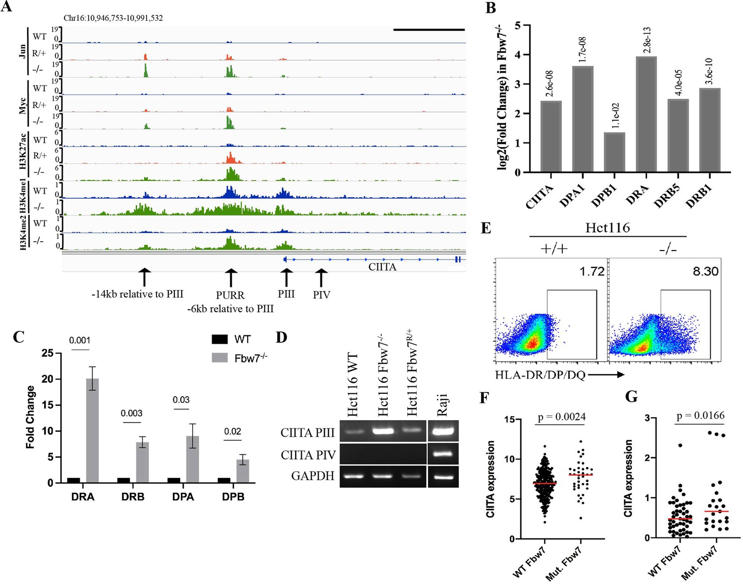 Global and context-specific transcriptional consequences of oncogenic ...