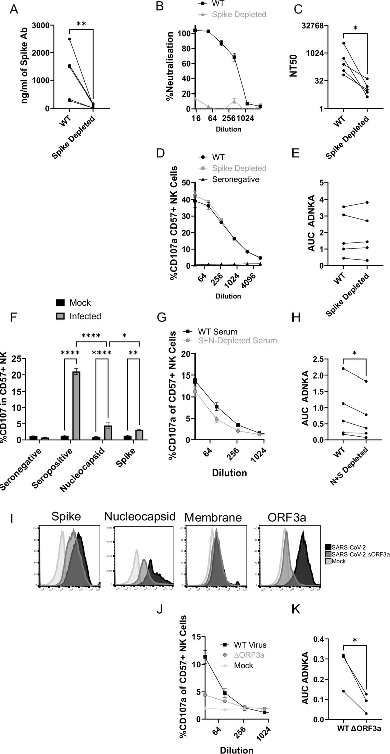 SARS-CoV-2 host-shutoff impacts innate NK cell functions, but antibody ...