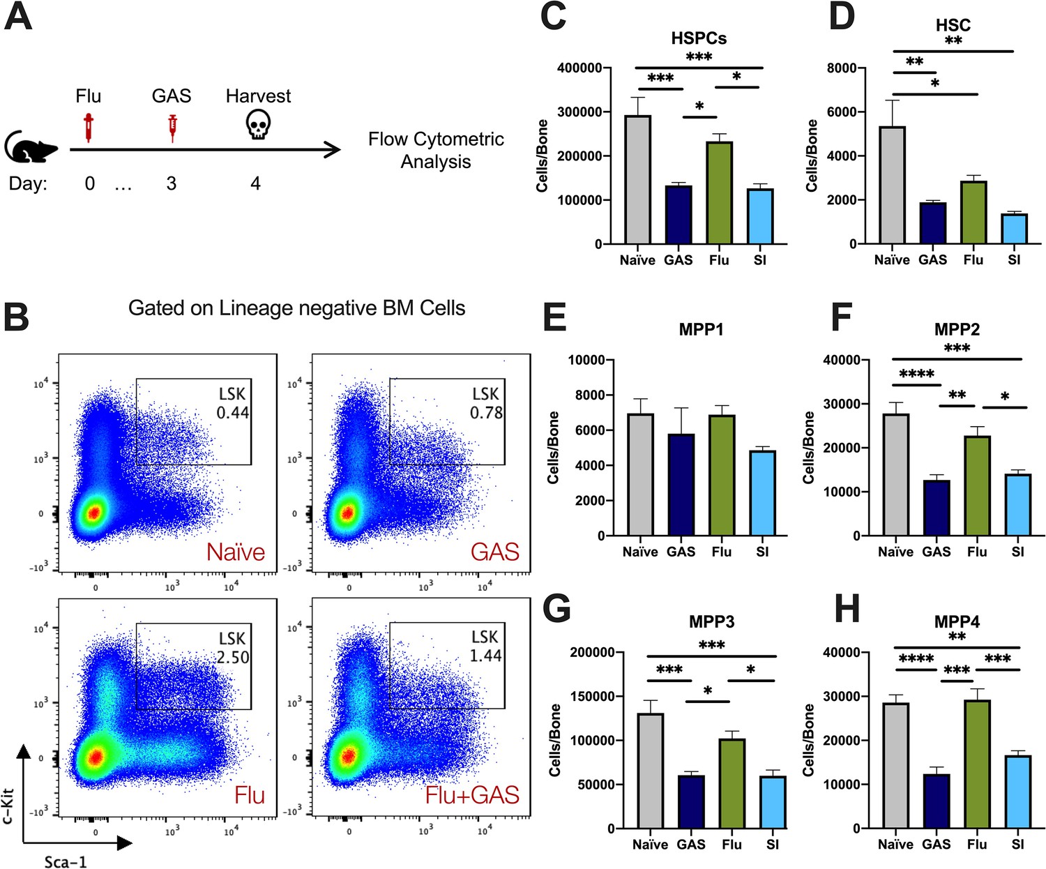 Expression Of Hv1 Proton Channels In Myeloid-derived