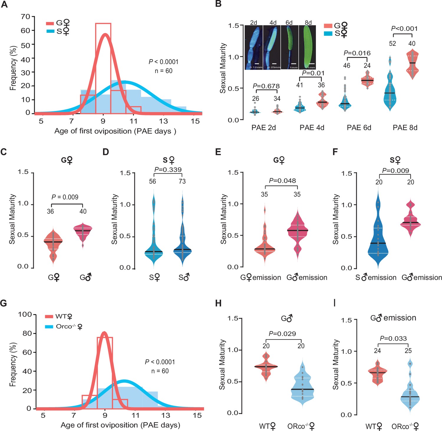 Figures And Data In Aggregation Pheromone 4 Vinylanisole Promotes The Synchrony Of Sexual