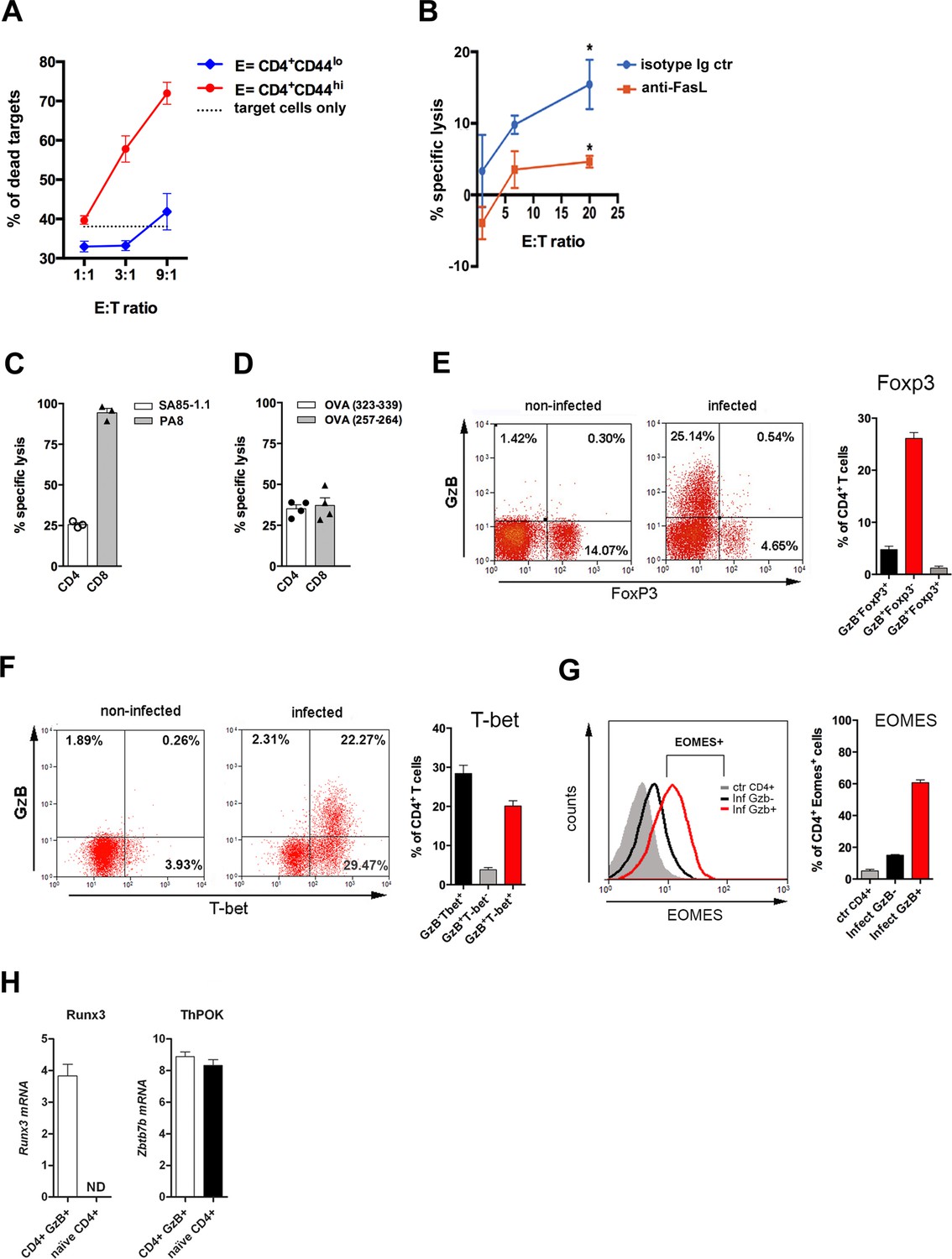 Cytotoxic Cd4 T Cells Driven By T Cell Intrinsic Il 18r Myd88