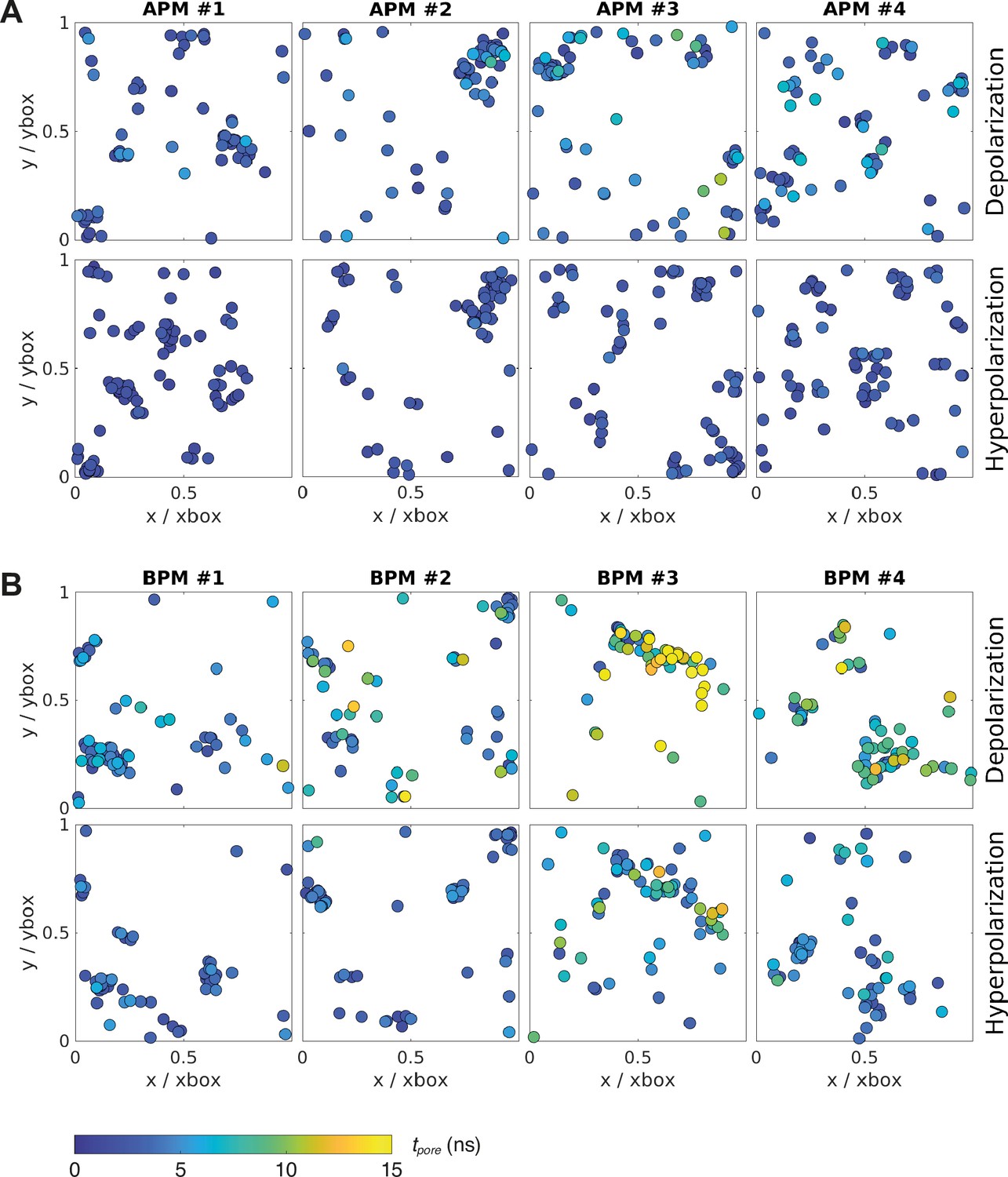 Identification of electroporation sites in the complex lipid