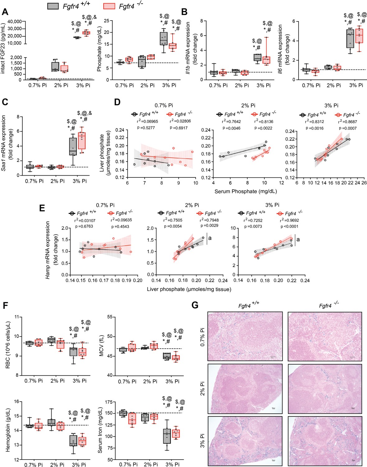 Hyperphosphatemia Increases Inflammation To Exacerbate Anemia And