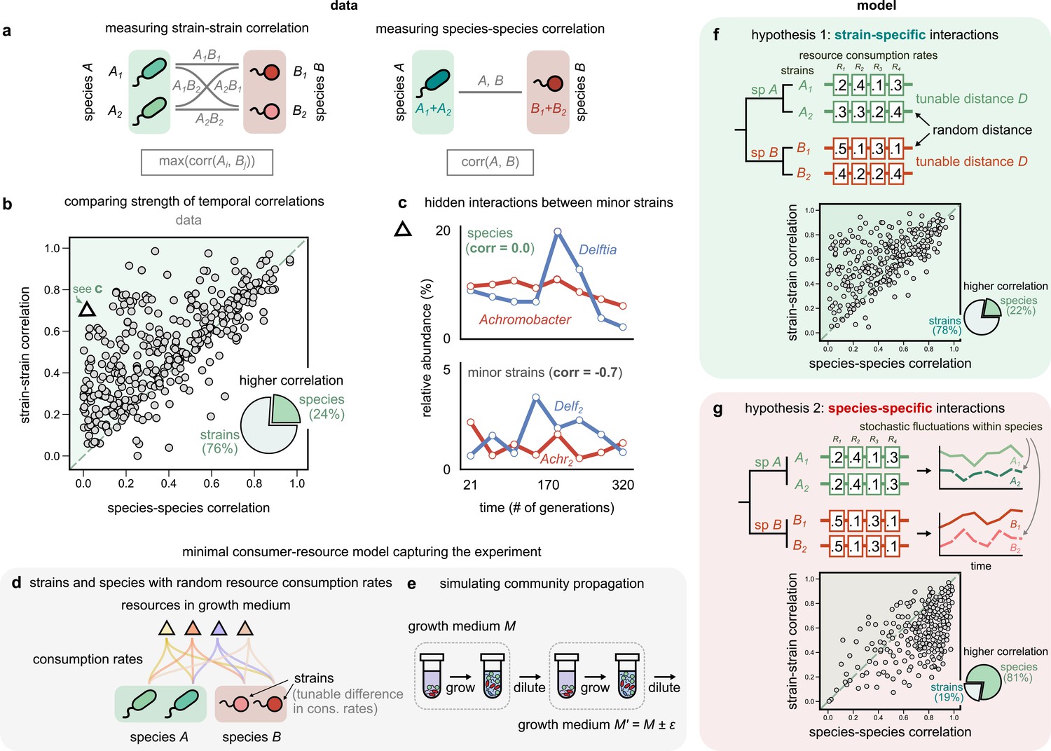 Interactions between strains govern the eco-evolutionary dynamics