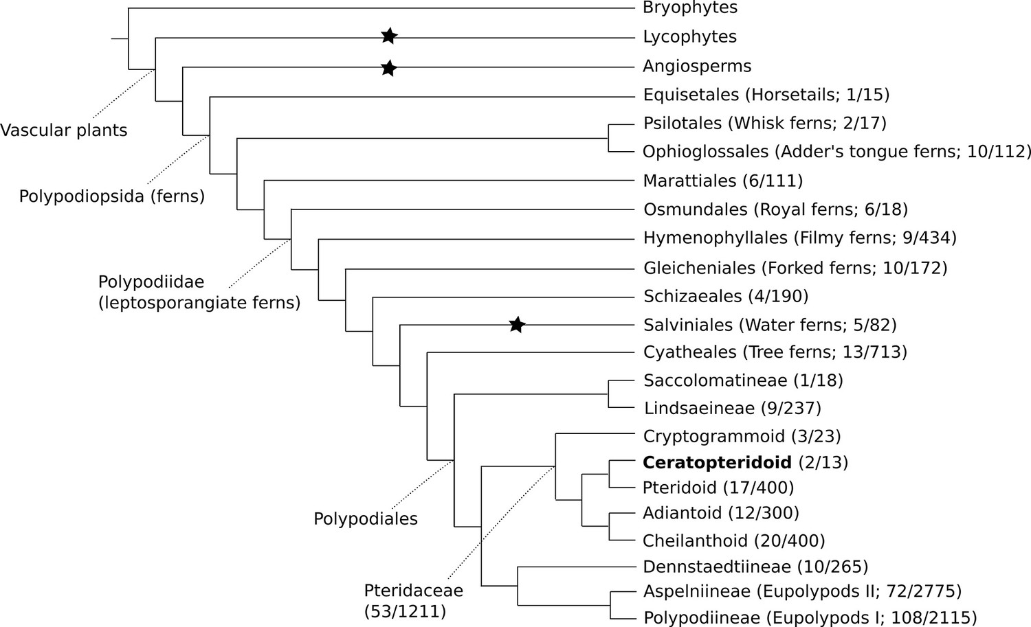 The Natural History Of Model Organisms: The Biology Of C. Richardii As ...