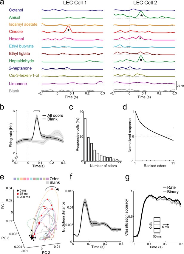 Rapid Odor Processing By Layer Subcircuits In Lateral Entorhinal