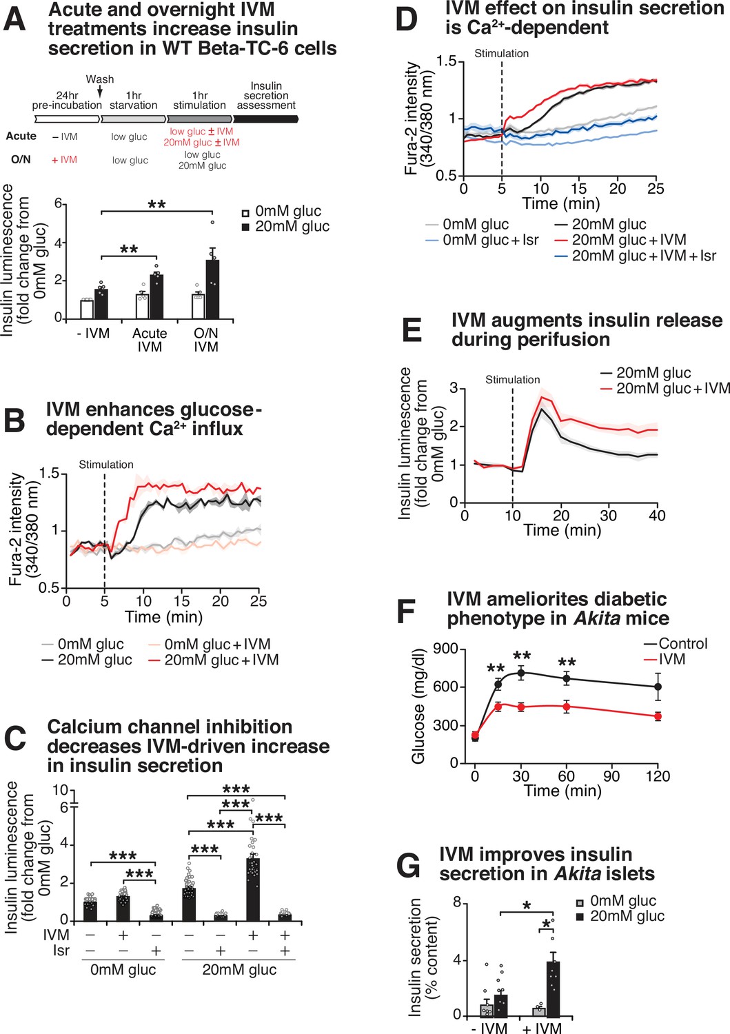 P2Y1 purinergic receptor identified as a diabetes target in a 