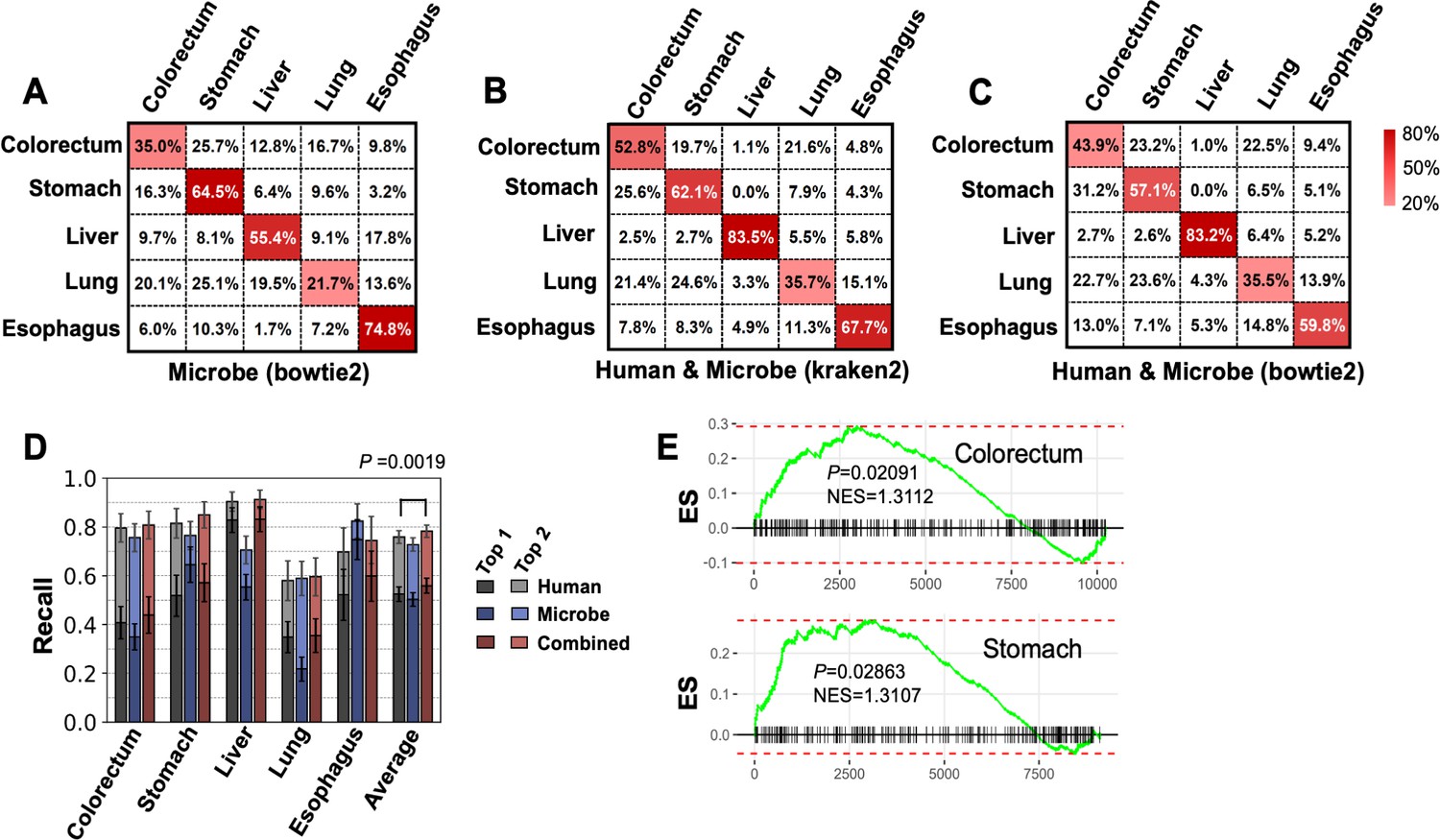 Frontiers | Reciprocal Interplay Between Fibrillar Collagens and  Collagen-Binding Integrins: Implications in Cancer Progression and  Metastasis