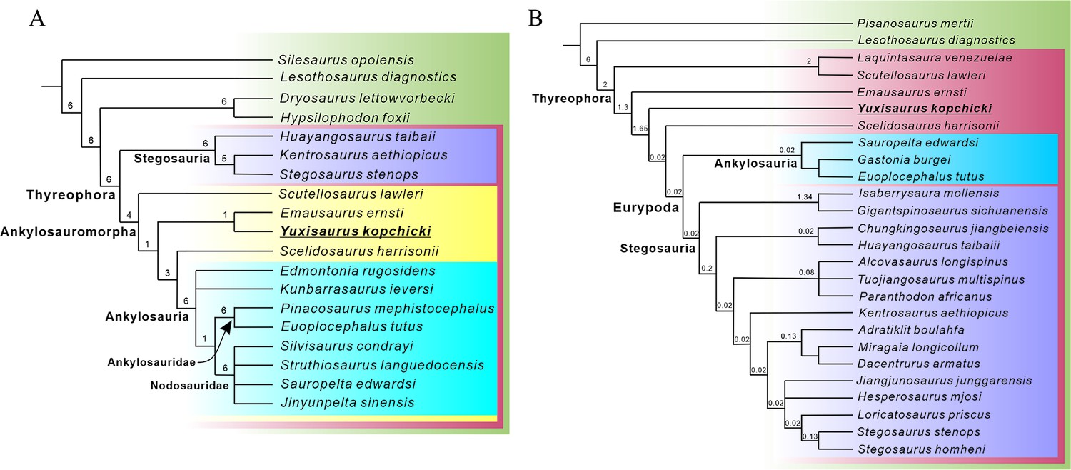 Figures and data in A new early branching armored dinosaur from the ...