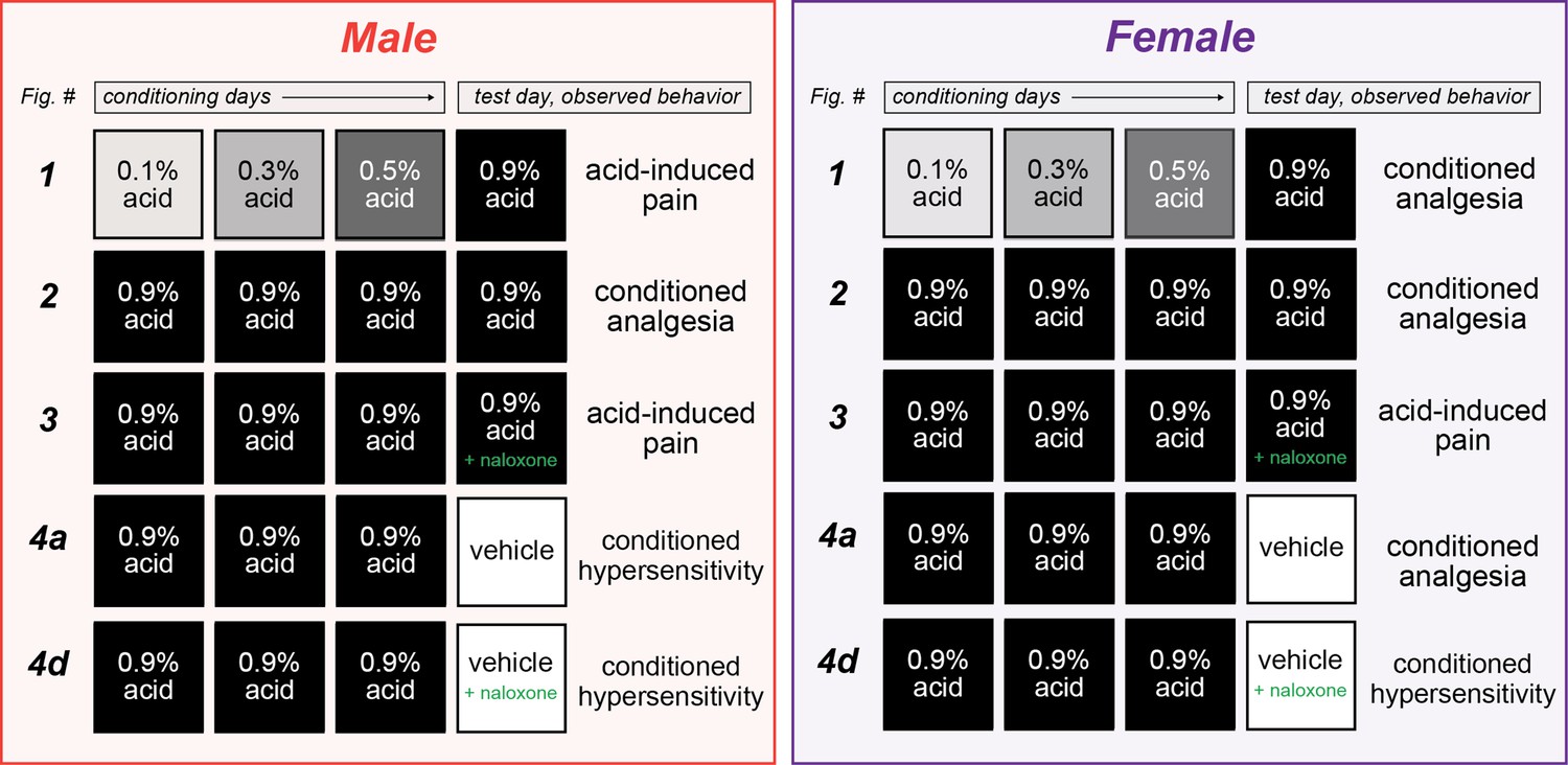 Contextual control of conditioned pain tolerance and endogenous