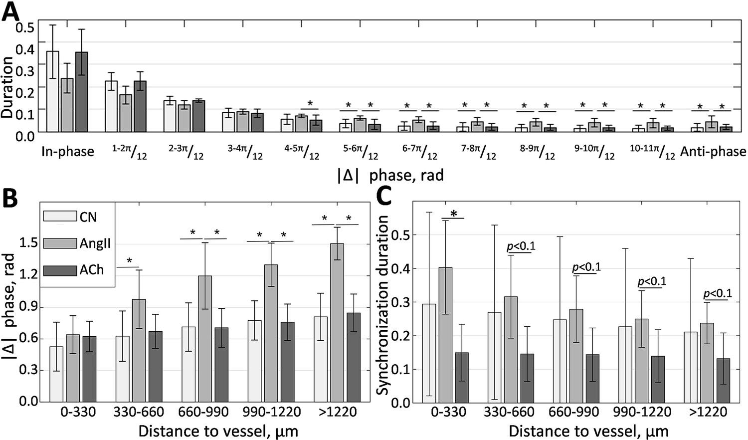 Synchronization in renal microcirculation unveiled with high-resolution ...