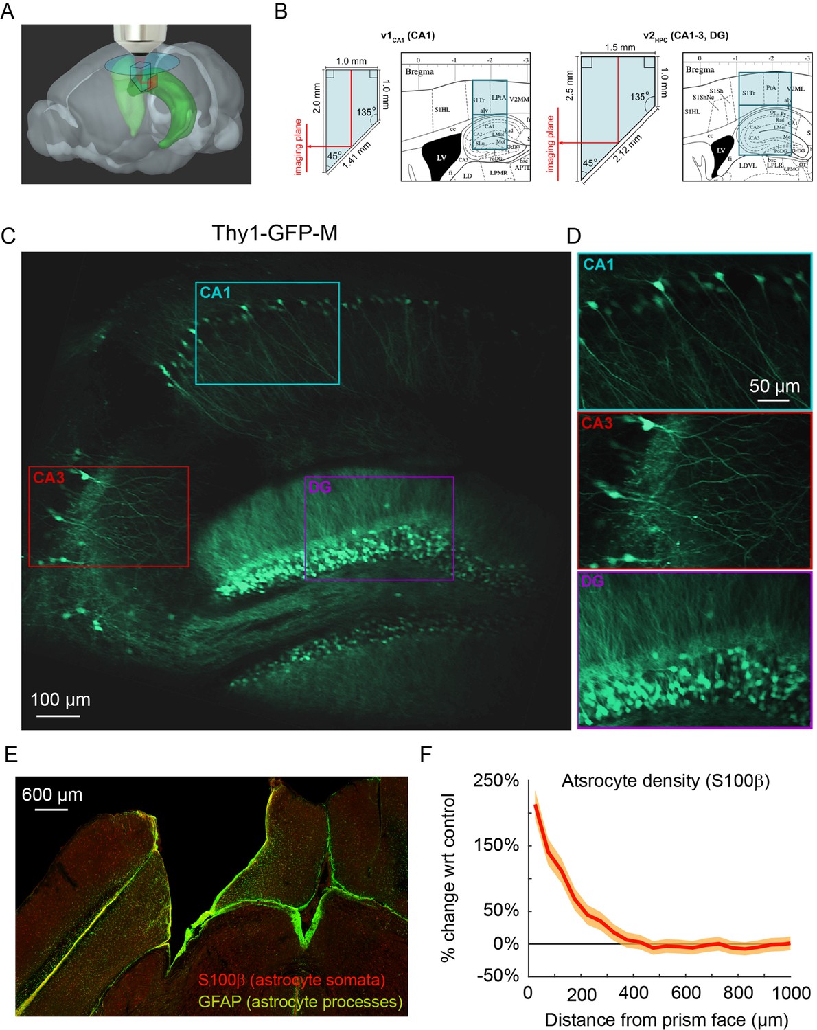 Hippocampal activity predicts contextual misattribution of false