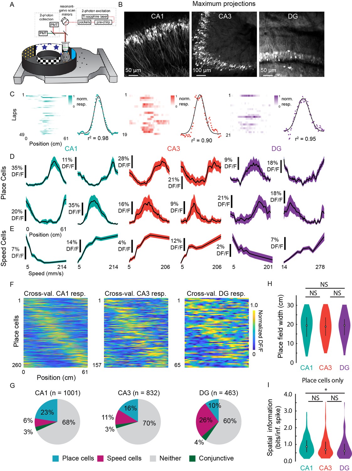 Hippocampal activity predicts contextual misattribution of false