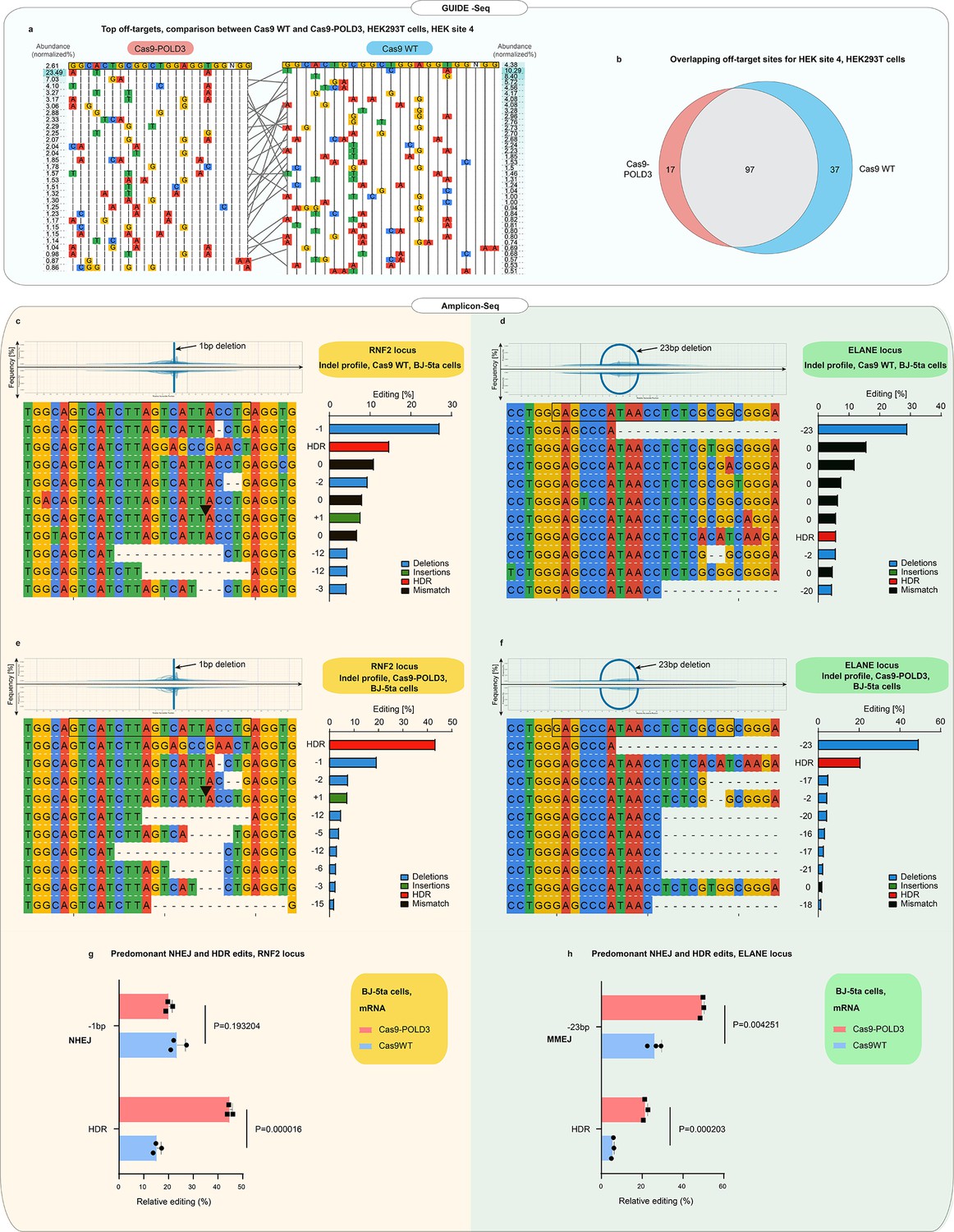 Rapid Genome Editing By CRISPR Cas9 POLD3 Fusion ELife