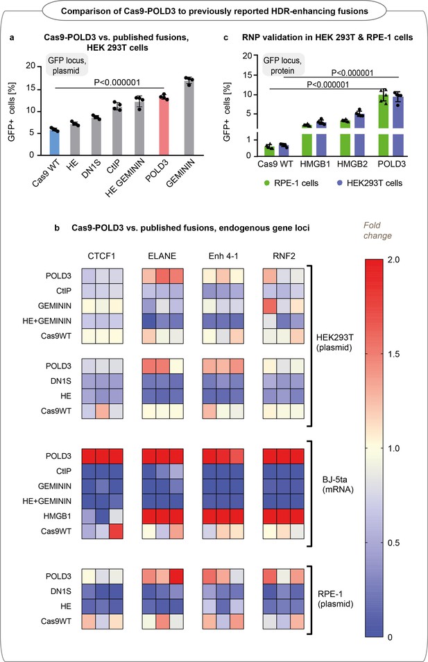 Rapid Genome Editing By CRISPR Cas9 POLD3 Fusion ELife