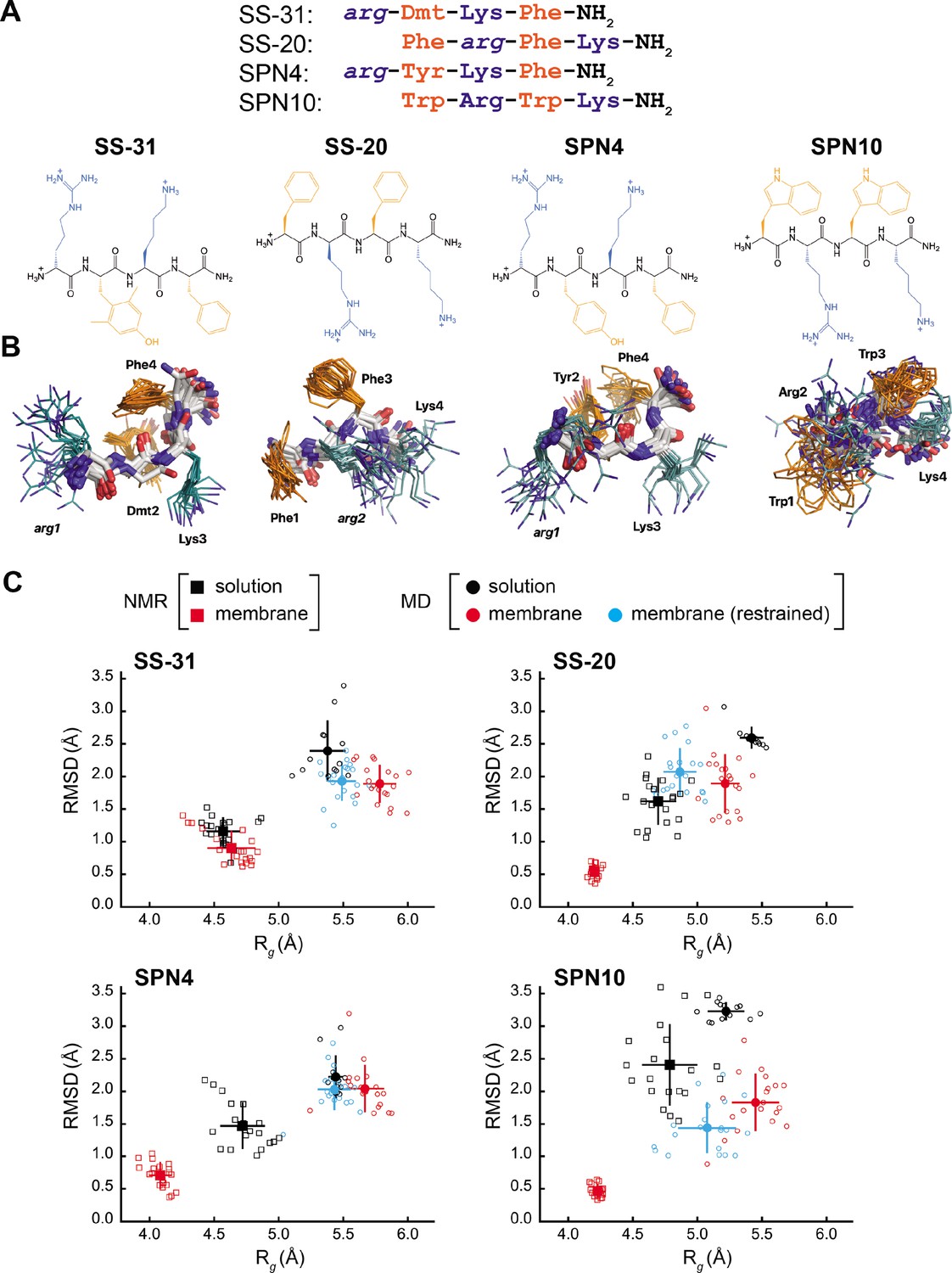 Structure-activity relationships of mitochondria-targeted