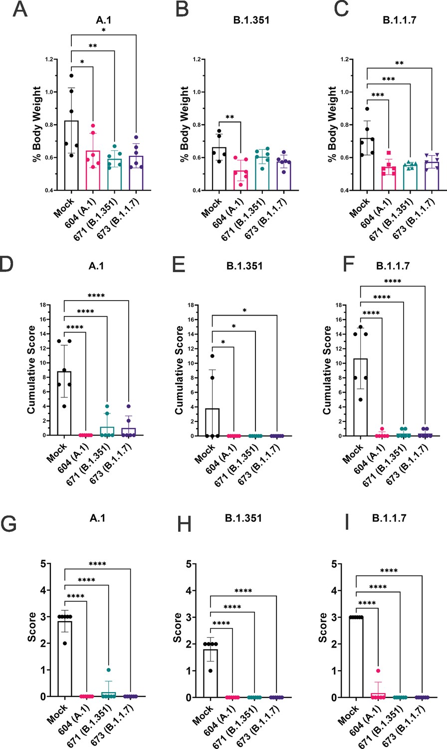 SARS-CoV2 variant-specific replicating RNA vaccines protect from ...