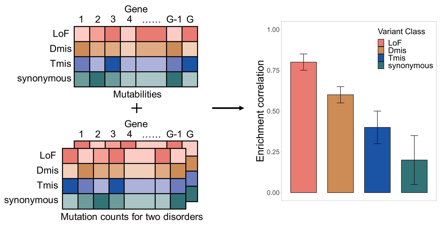 Quantifying concordant genetic effects of de novo mutations