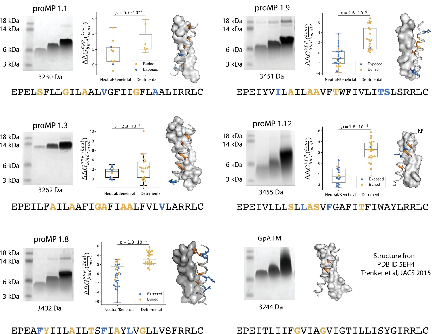 Figures And Data In De Novo-designed Transmembrane Domains Tune ...