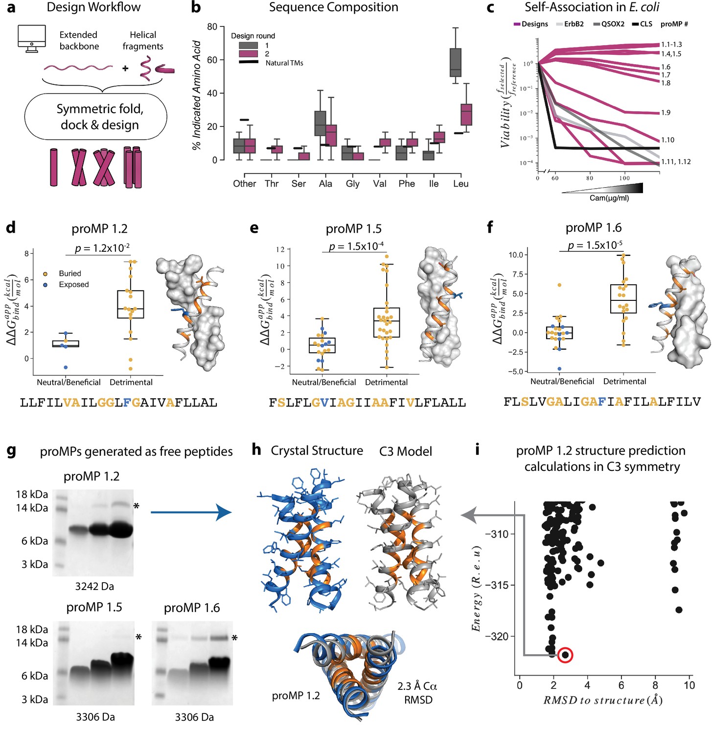 De Novo-designed Transmembrane Domains Tune Engineered Receptor ...