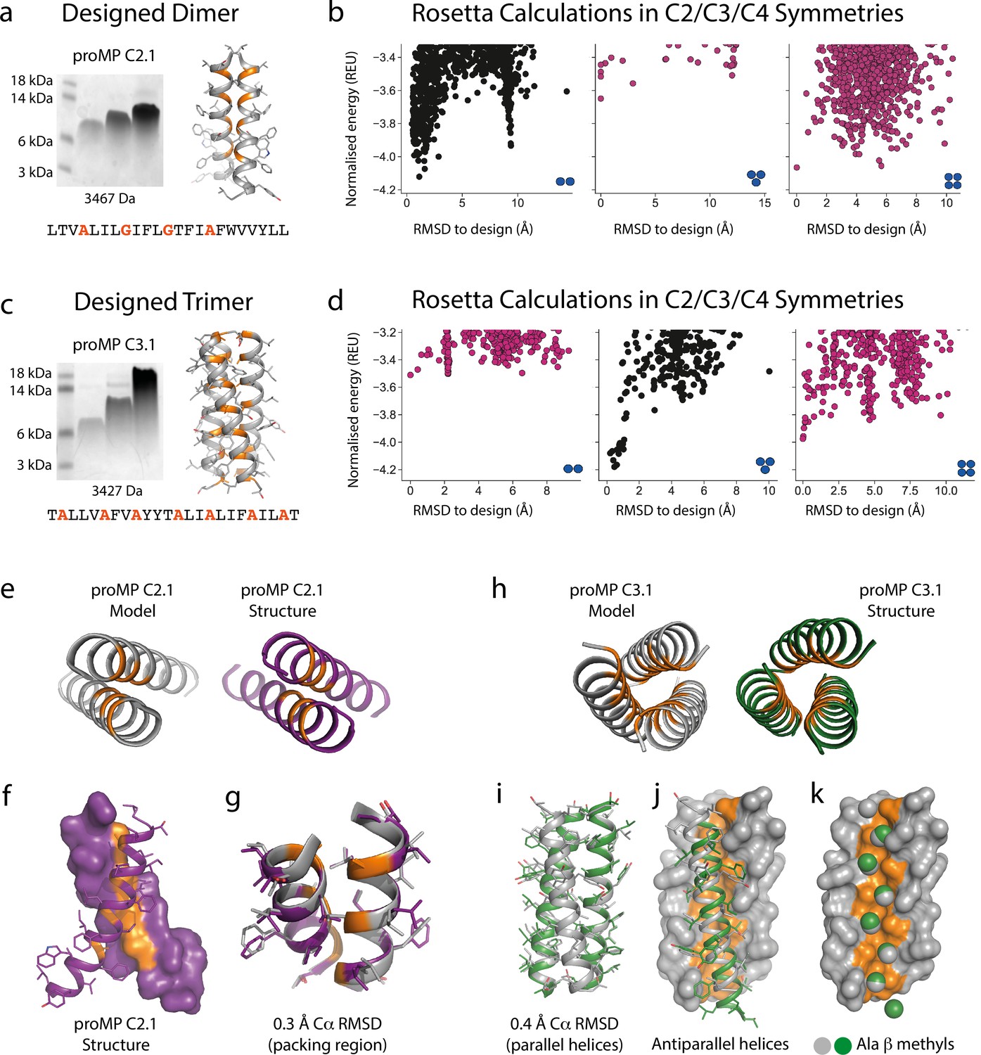 De Novo-designed Transmembrane Domains Tune Engineered Receptor ...