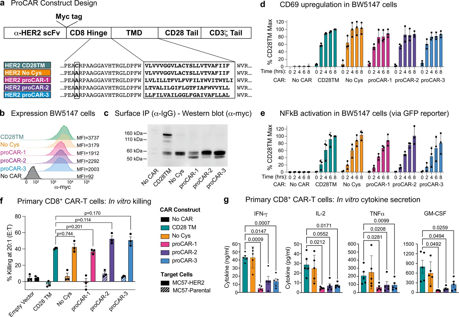 De Novo-designed Transmembrane Domains Tune Engineered Receptor ...