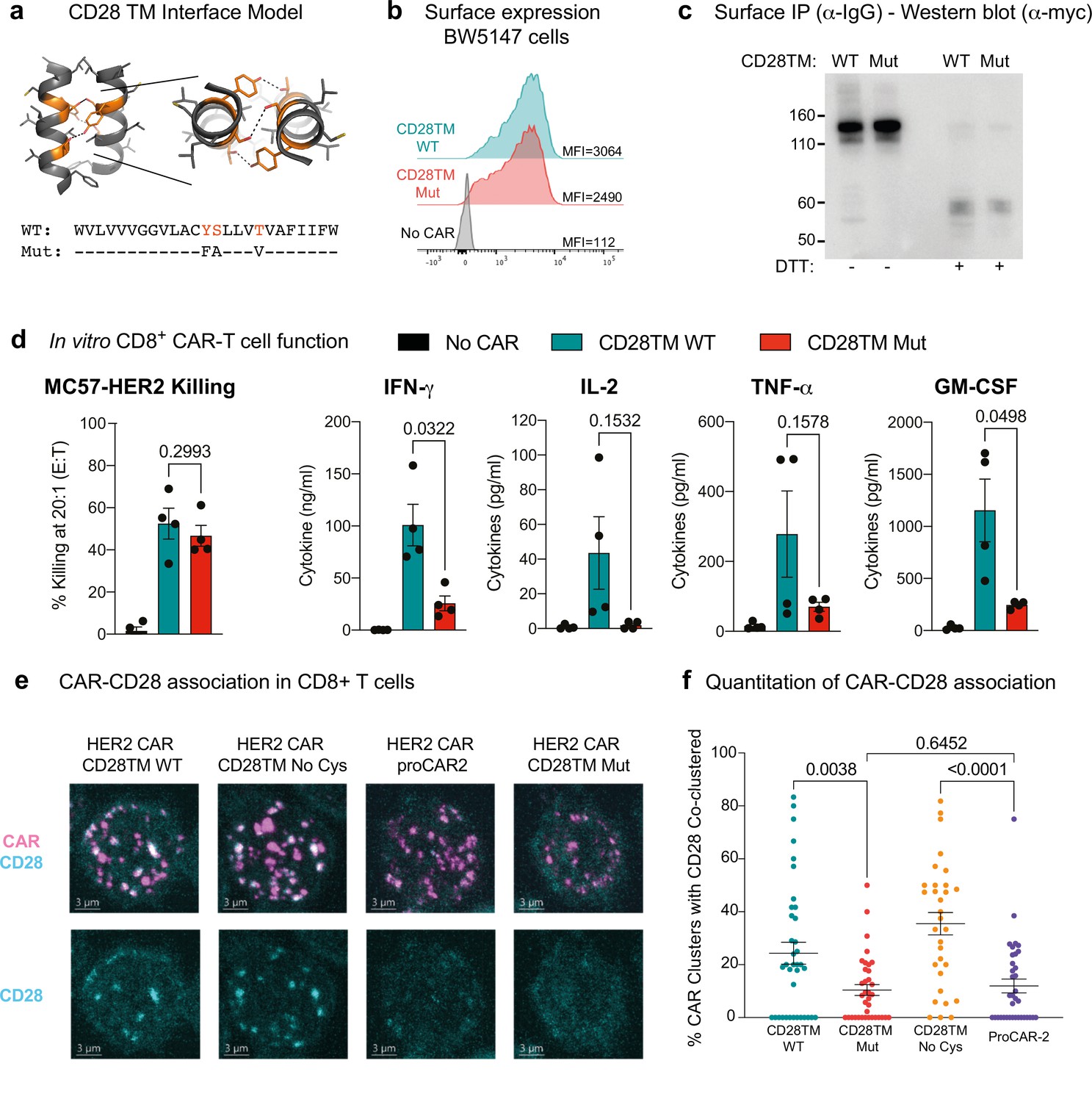 De Novo-designed Transmembrane Domains Tune Engineered Receptor ...