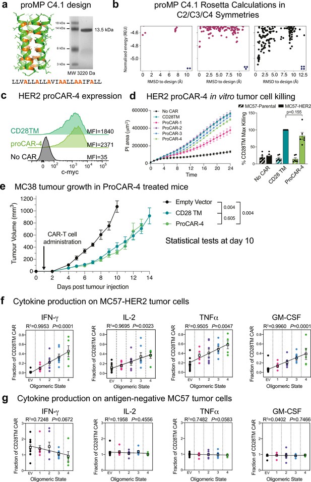 De Novo-designed Transmembrane Domains Tune Engineered Receptor ...