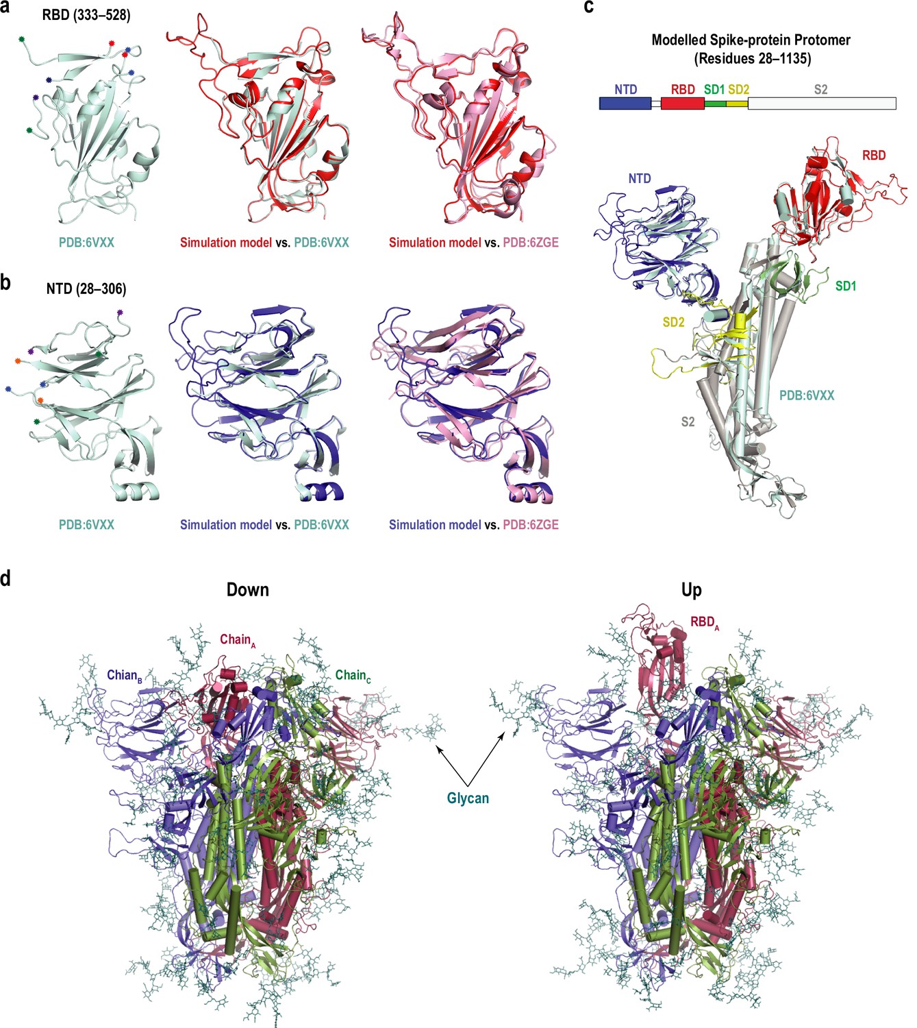 The inherent flexibility of receptor binding domains in SARS CoV 2