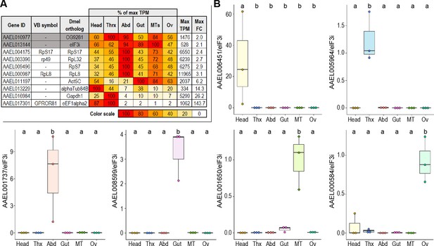 Figures And Data In A Transcriptomic Atlas Of Aedes Aegypti Reveals ...