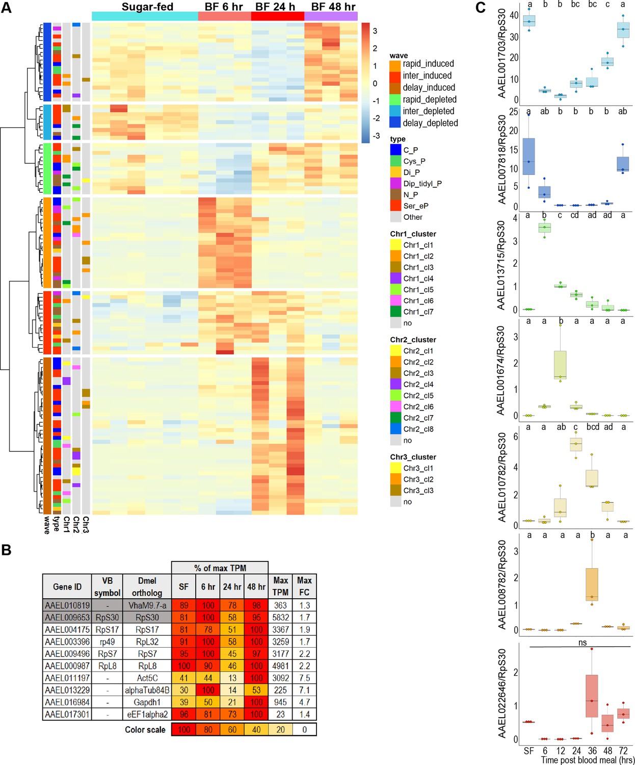 Figures And Data In A Transcriptomic Atlas Of Aedes Aegypti Reveals ...