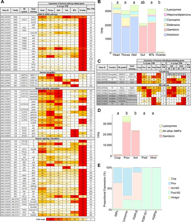 A Transcriptomic Atlas Of Aedes Aegypti Reveals Detailed Functional ...