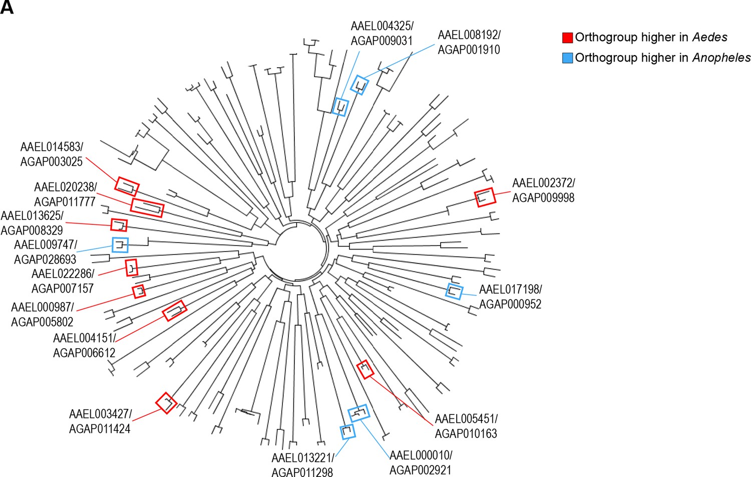 Figures And Data In A Transcriptomic Atlas Of Aedes Aegypti Reveals ...