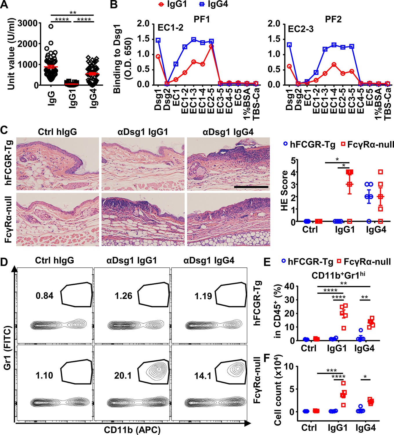 Distinct impact of IgG subclass on autoantibody