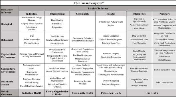 health research framework