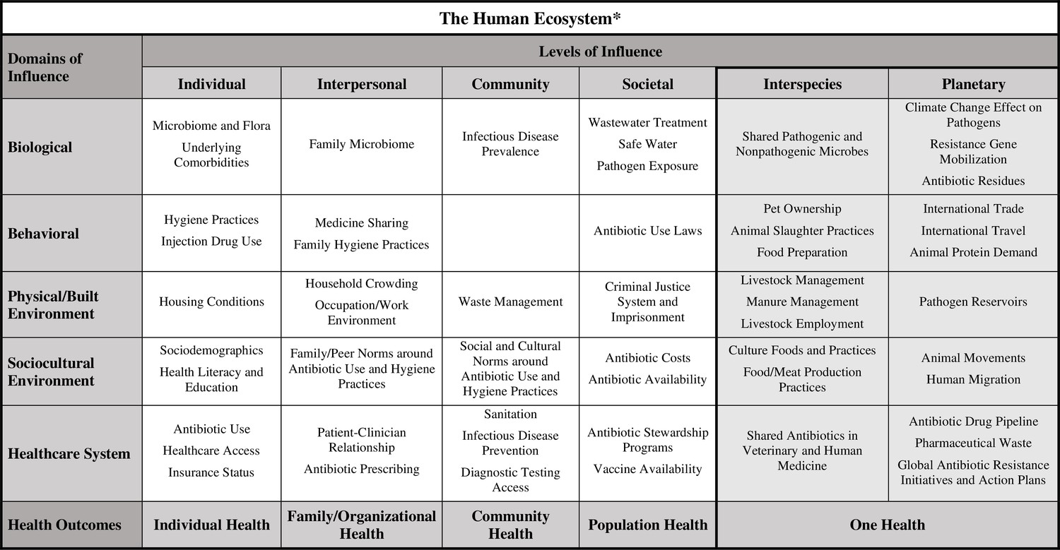 Science Forum: Adding a One Health approach to a research framework for ...