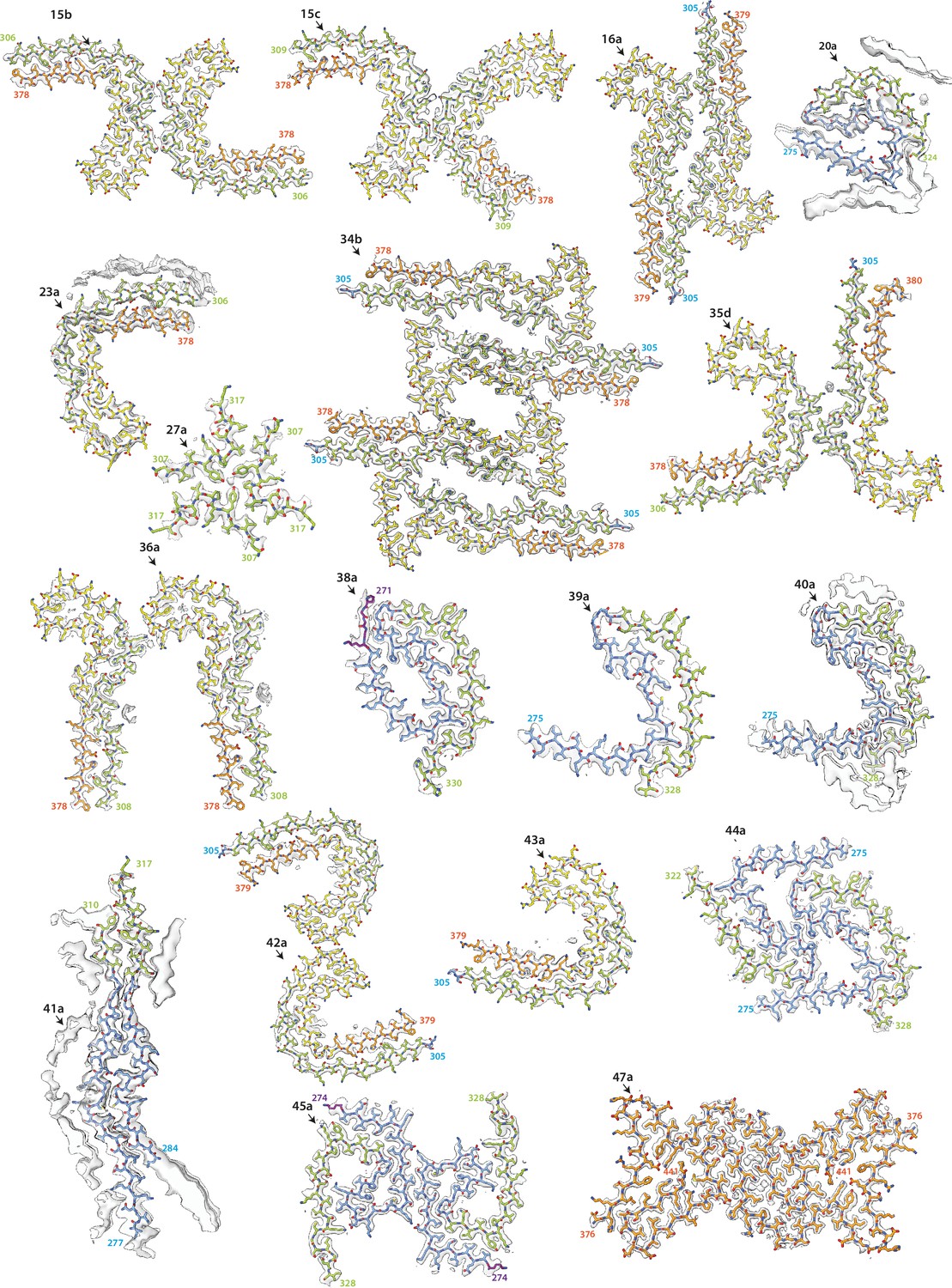 Assembly of recombinant tau into filaments identical to those of