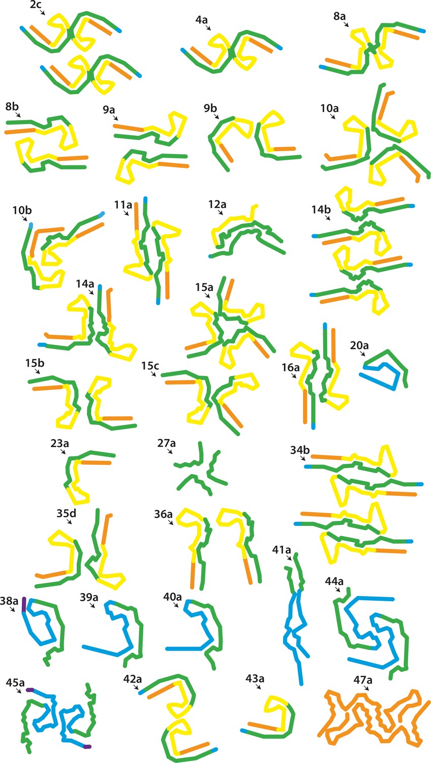 Assembly of recombinant tau into filaments identical to those of