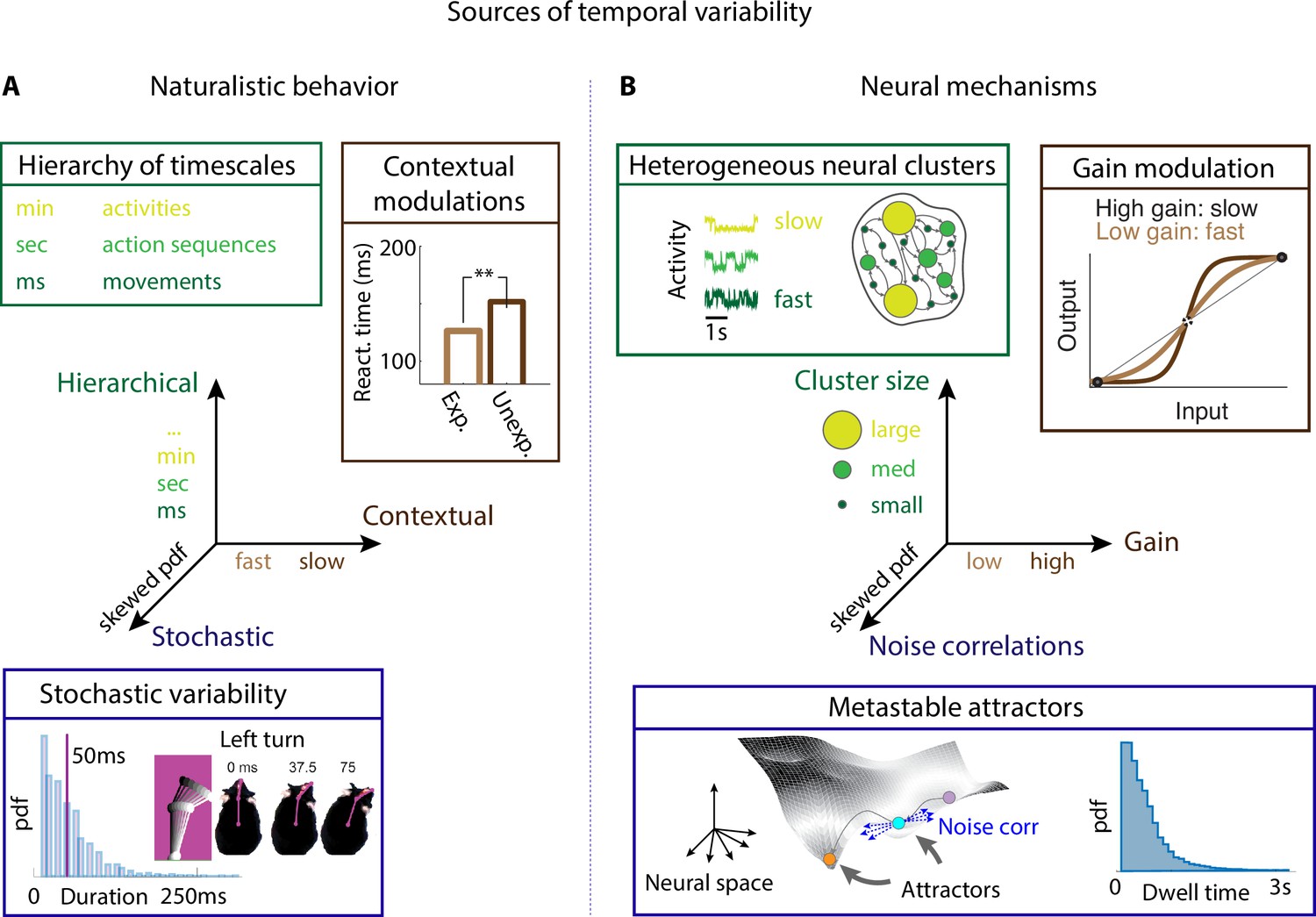 Neural mechanisms underlying the temporal organization of naturalistic animal  behavior | eLife