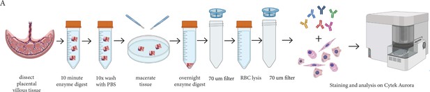 Full spectrum flow cytometry reveals mesenchymal heterogeneity in first ...