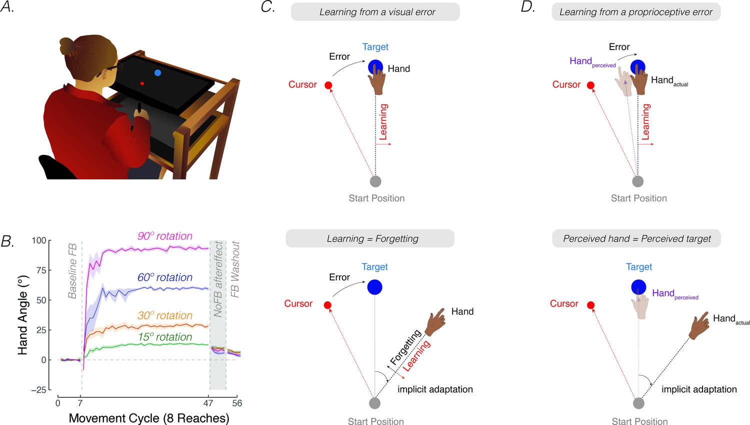 Sensorimotor learning online examples