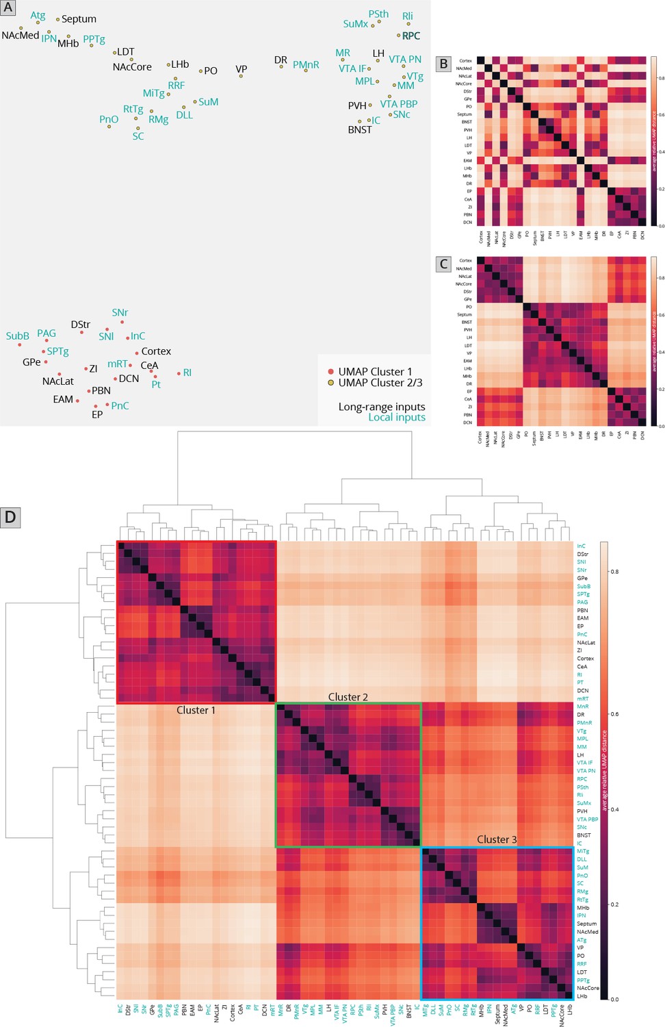 Modified viral-genetic mapping reveals local and global connectivity ...