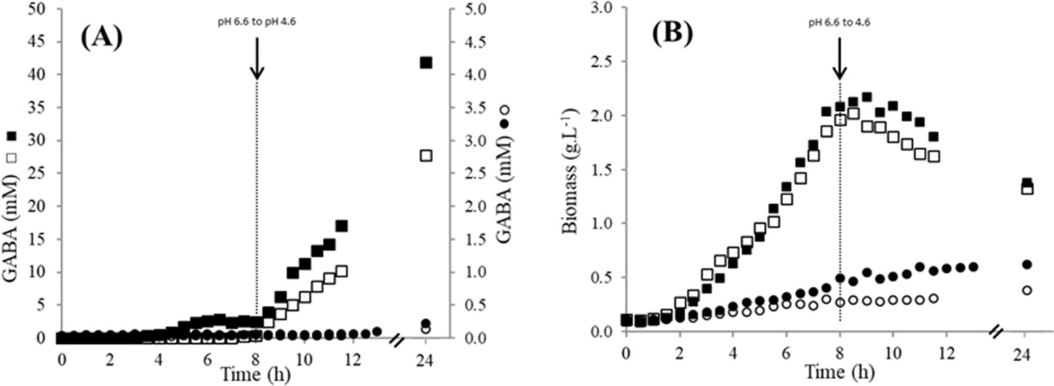 Lactococcus lactis NCDO2118 exerts visceral antinociceptive