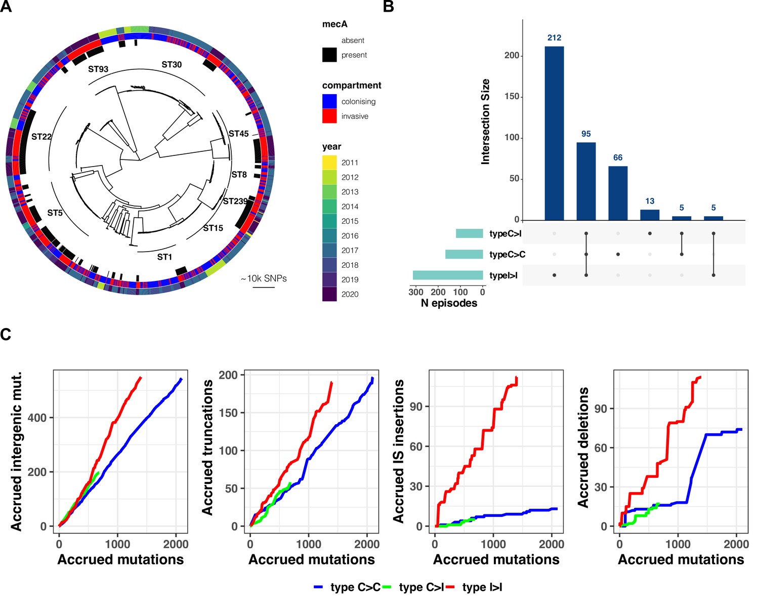 The evolution of Staphylococcus aureus