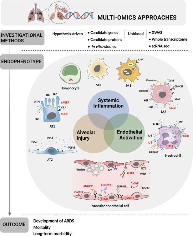 Evolution of multiple omics approaches to define pathophysiology of ...