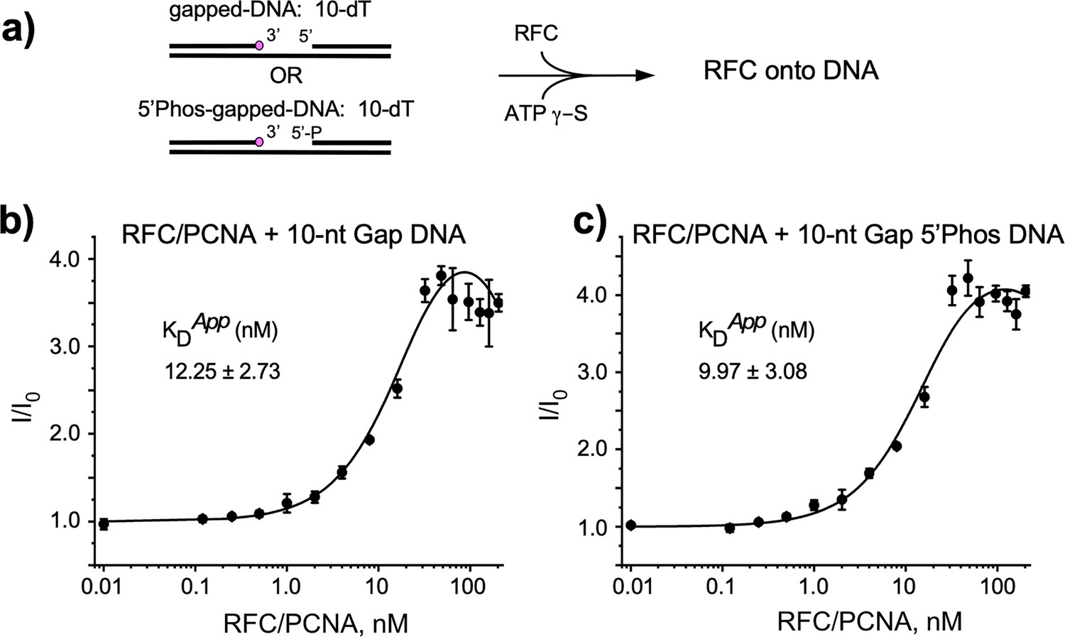 Figures And Data In Cryo-EM Structures Reveal That RFC Recognizes Both ...